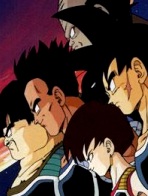 Saiyens Dragon Ball Z