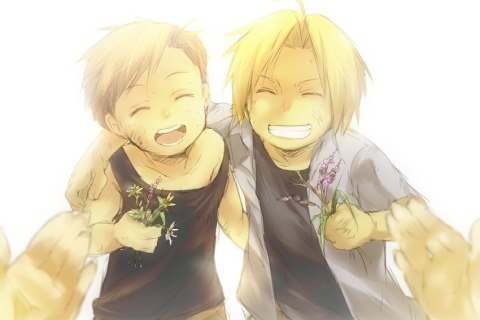 Fullmetal Alchemist (FMA) - Manga et Anime 1