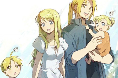 Fullmetal Alchemist (FMA) - Manga et Anime 2