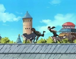 Clan Inuzuka