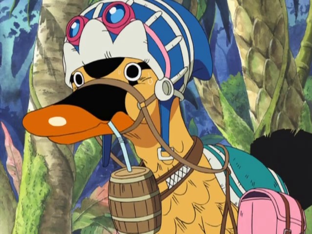 Karoo (Kaloo), le canard de la princesse Vivi de One Piece 2