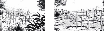Les sources maléfiques de Yusen