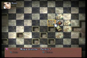 Final Fantasy 12 Permis