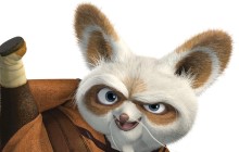 Shifu Kung Fu Panda