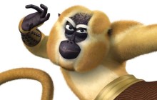 Singe Kung Fu Panda