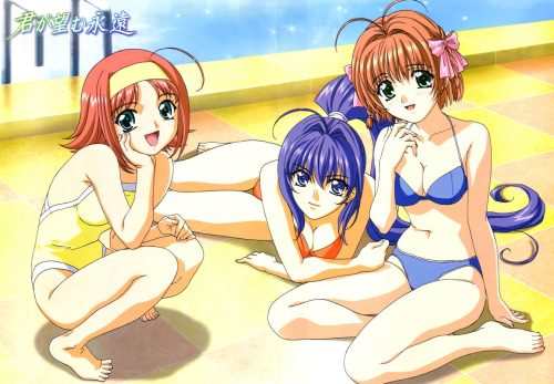 Rumbling Hearts (Kimi ga Nozomu Eien) 1