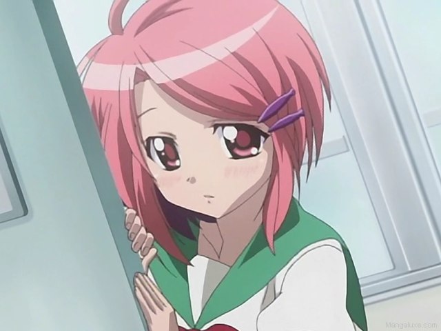 Tsubasa Tsubame 1