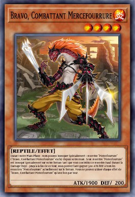 Bravo Combattant Mercefourrure